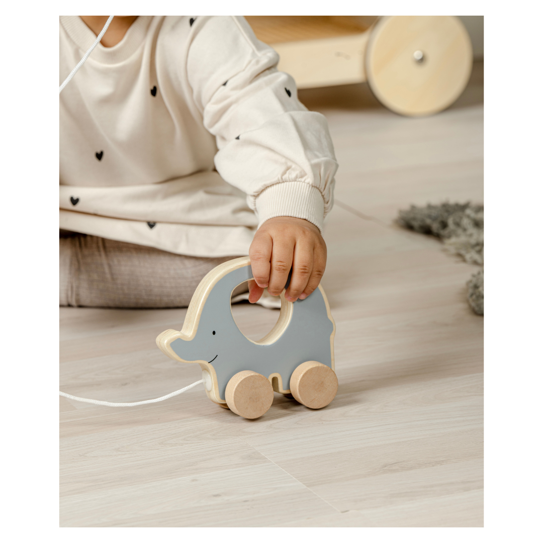 BOX Gioco e Apprendimento 18-24 mesi