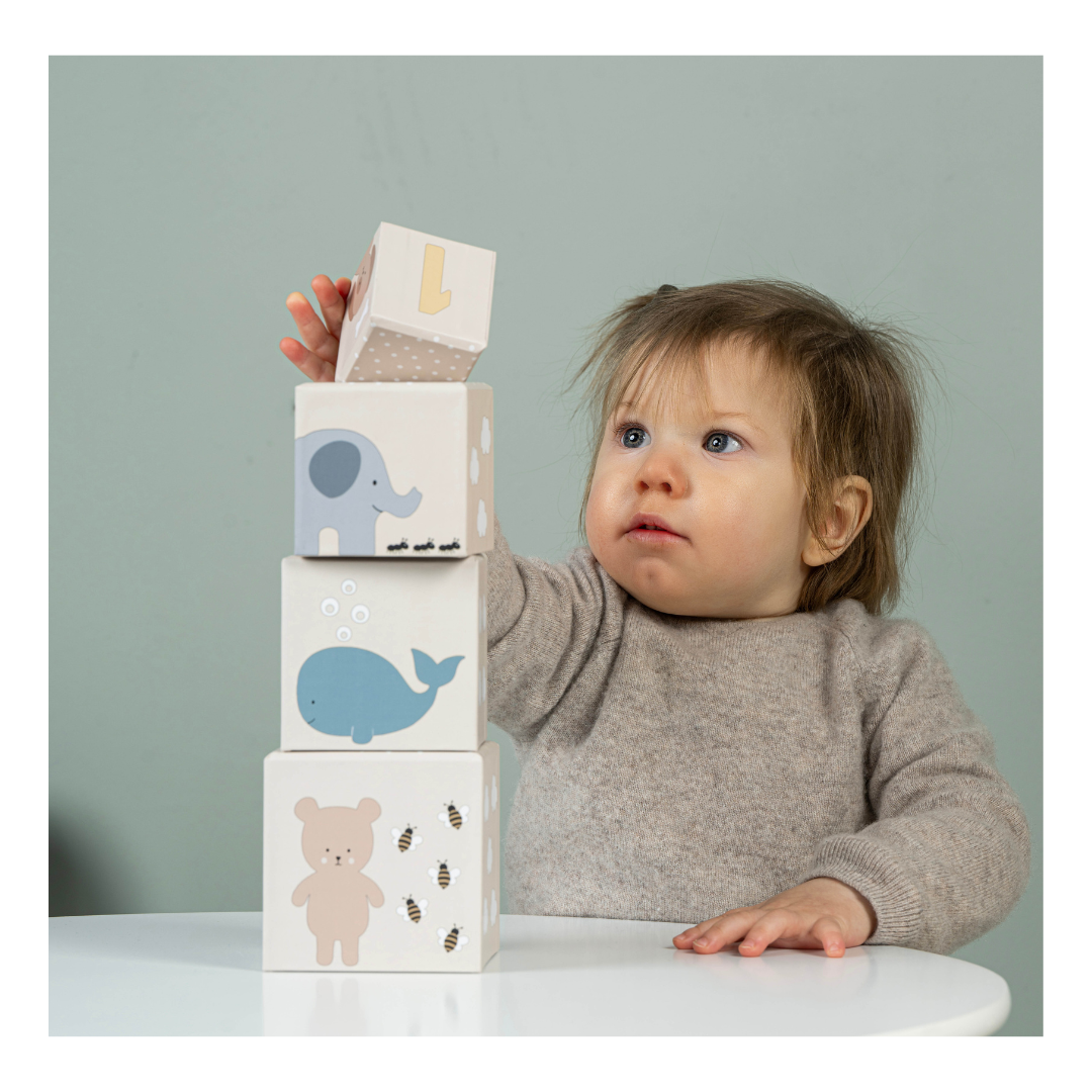 BOX Gioco e Apprendimento 12-18 mesi