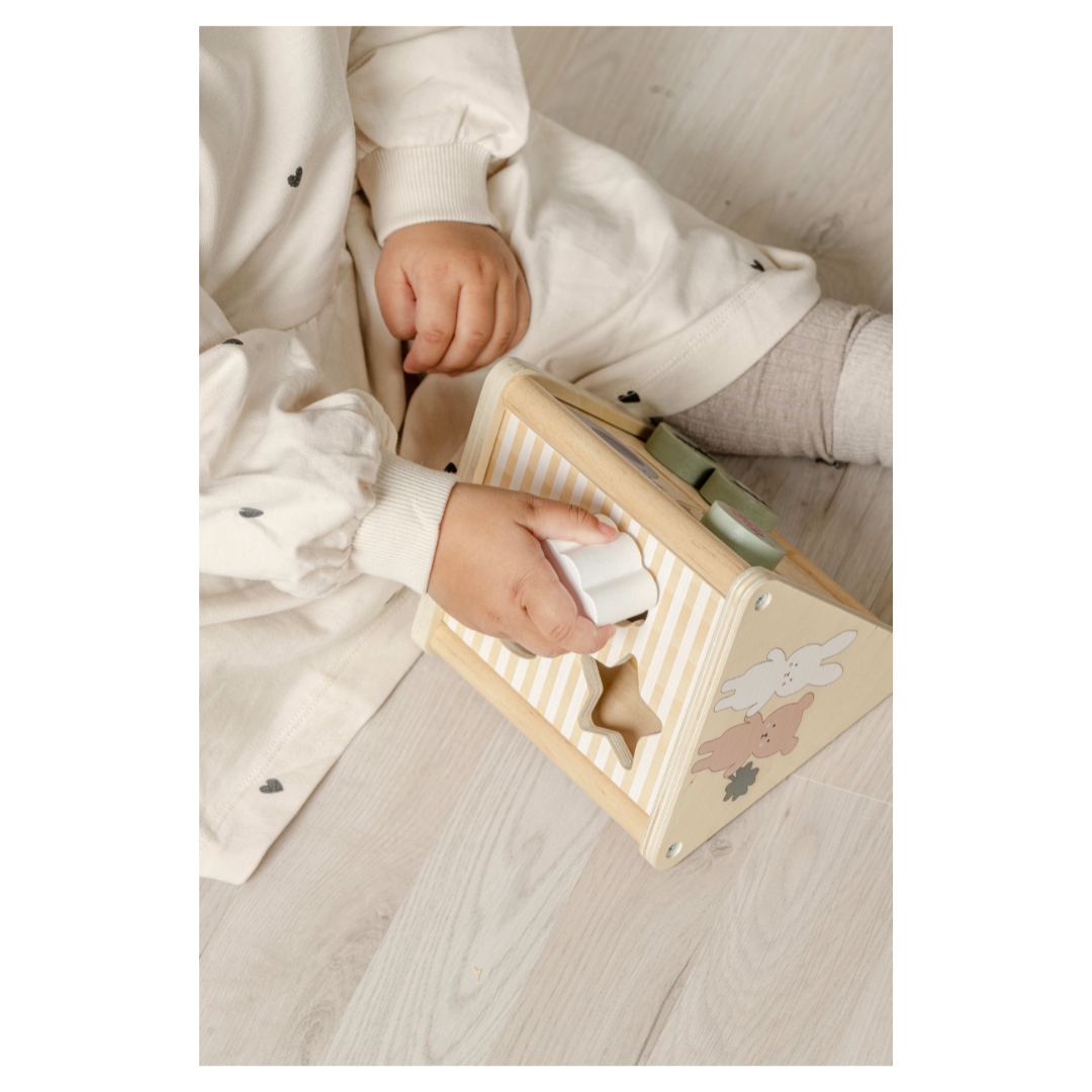 BOX Gioco e Apprendimento 18-24 mesi