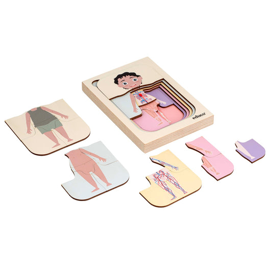 Puzzle a strati - Corpo umano - ragazzo