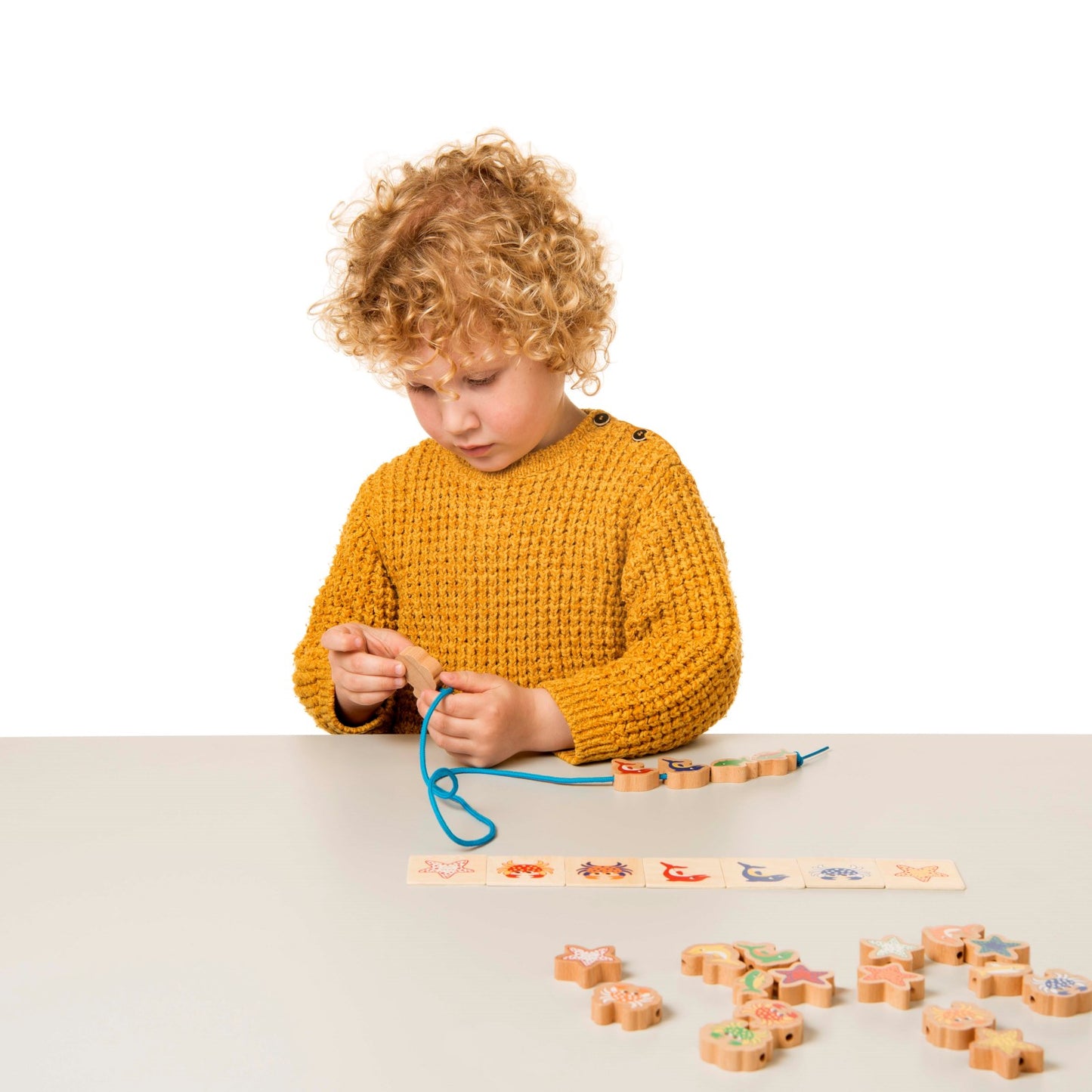 Lace the Sea Animals