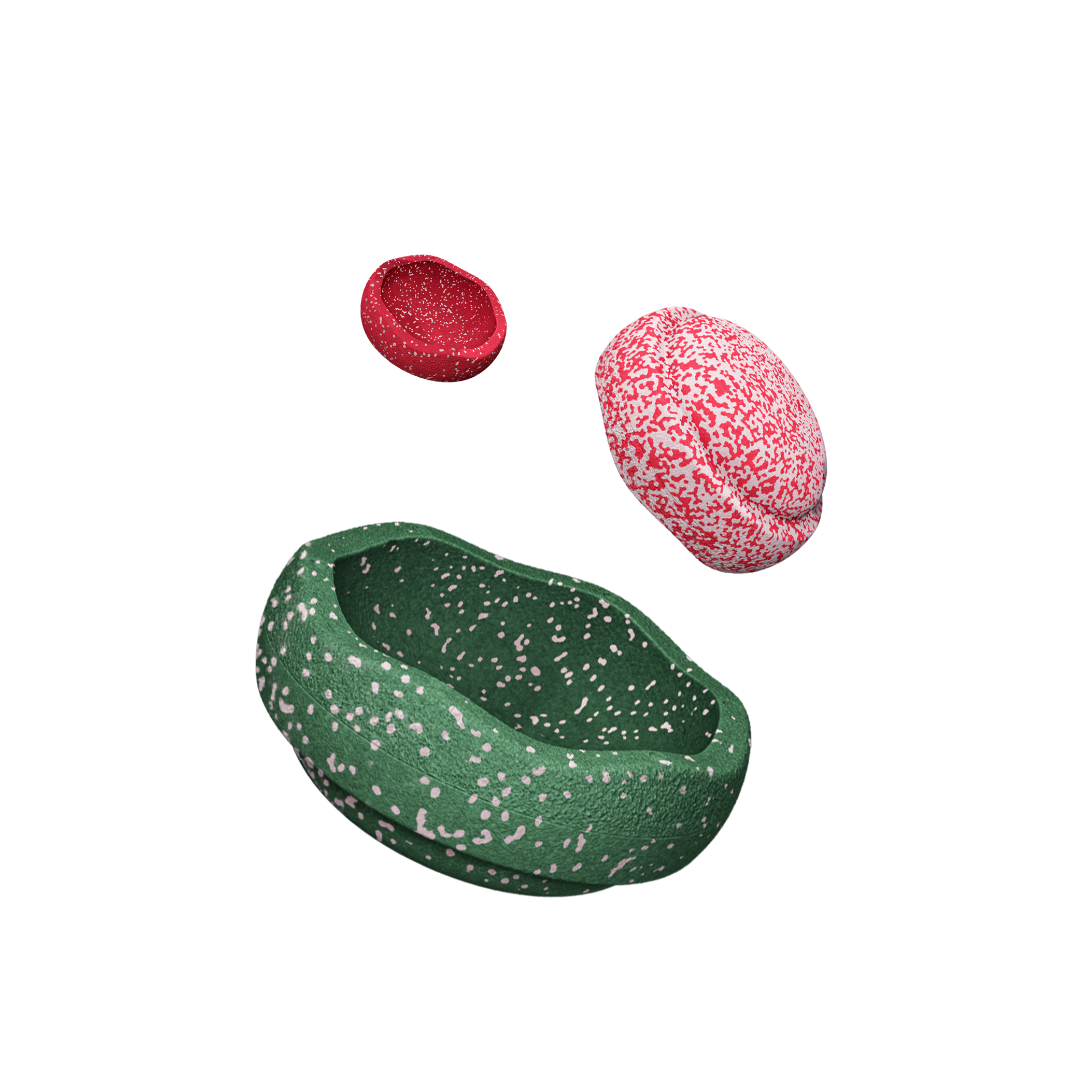 Stapelstein - Blush Triology Set